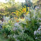 Colorful wildflower meadow in soft autumn light