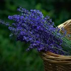 Vibrant purple flowers and golden jewelry on dark green backdrop