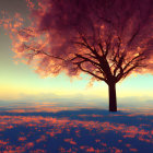 Colorful illustration: solitary tree with pink leaves, sunset, mountains, pink foliage.