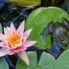 Colorful digital artwork: Green frog on lily pad with pink water lily in serene pond