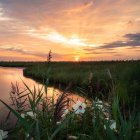 Digital Art: Vibrant Sunset Over Tranquil Marina