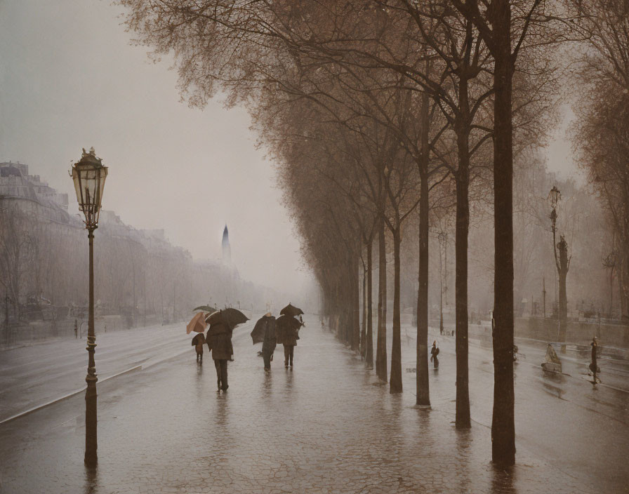 Misty tree-lined boulevard with people carrying umbrellas on wet cobblestone path