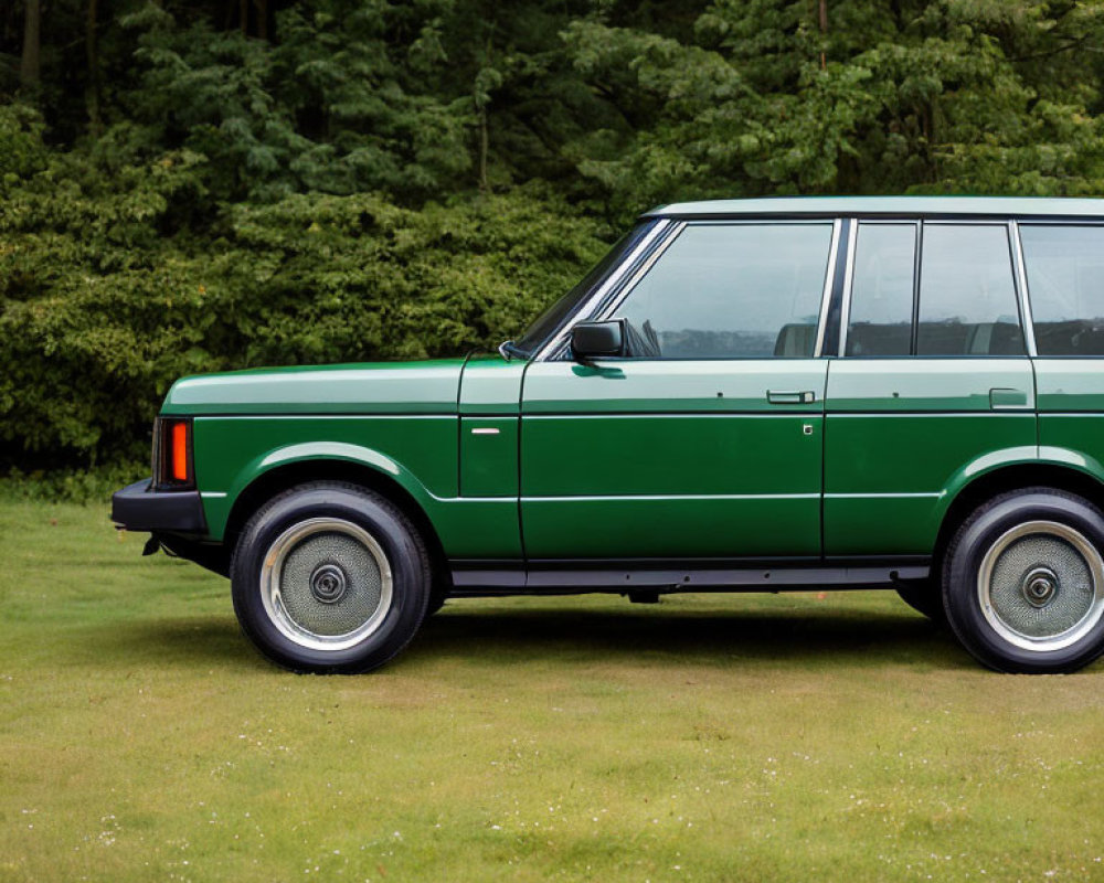 Vintage Green Station Wagon Parked on Grass with Trees Background