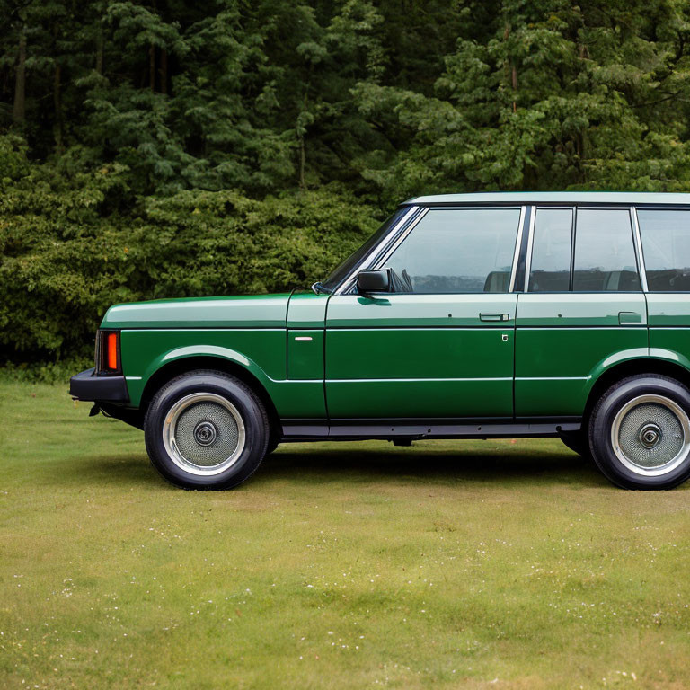 Vintage Green Station Wagon Parked on Grass with Trees Background