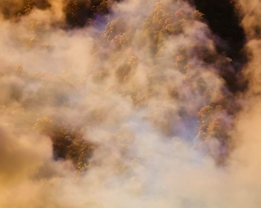 Misty hillside with golden sunlight and castle peeking through clouds