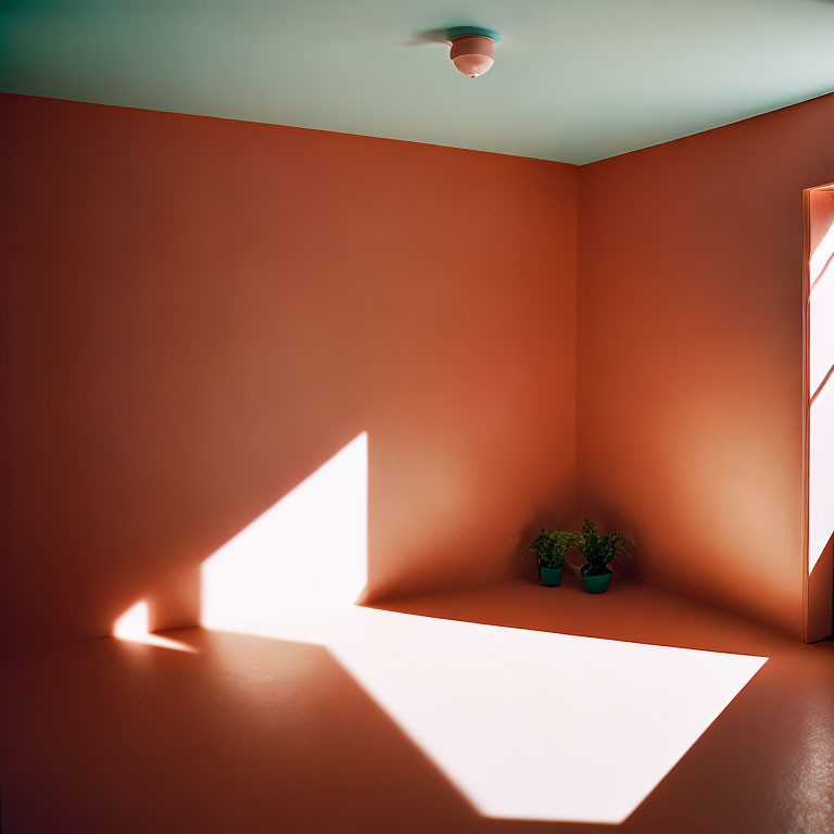 Terracotta-walled room with geometric light shape, ceiling light, and plants