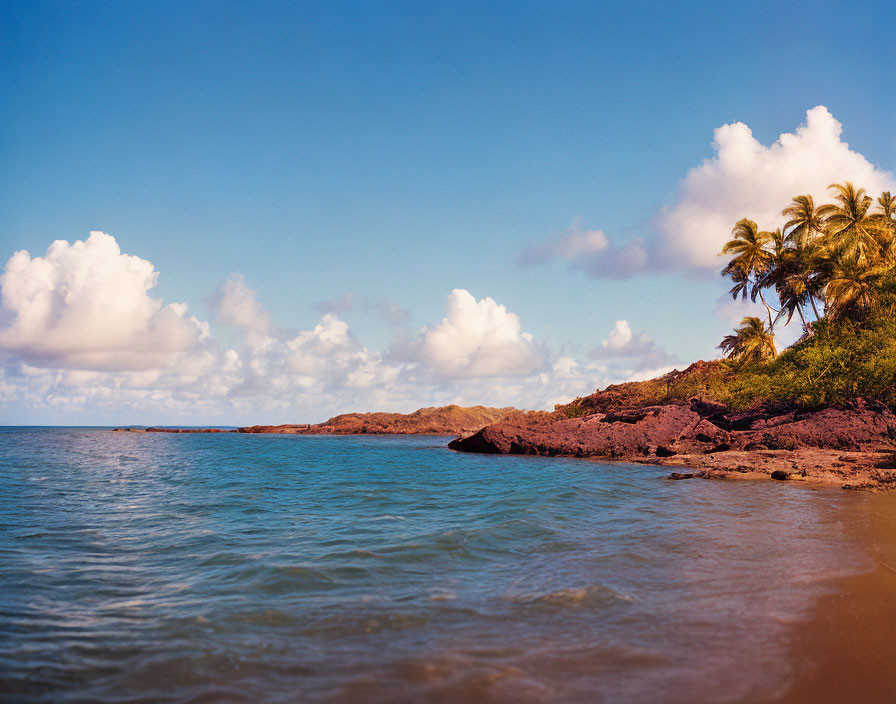 Scenic Tropical Beach with Red Rocks and Palm Trees