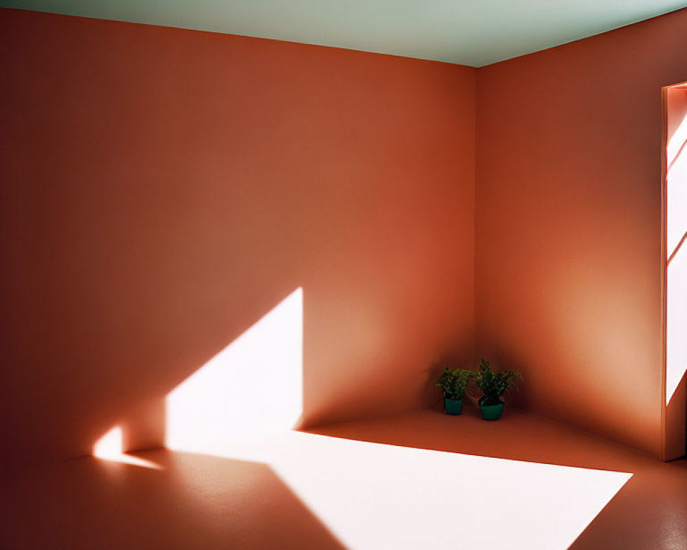 Terracotta-walled room with geometric light shape, ceiling light, and plants