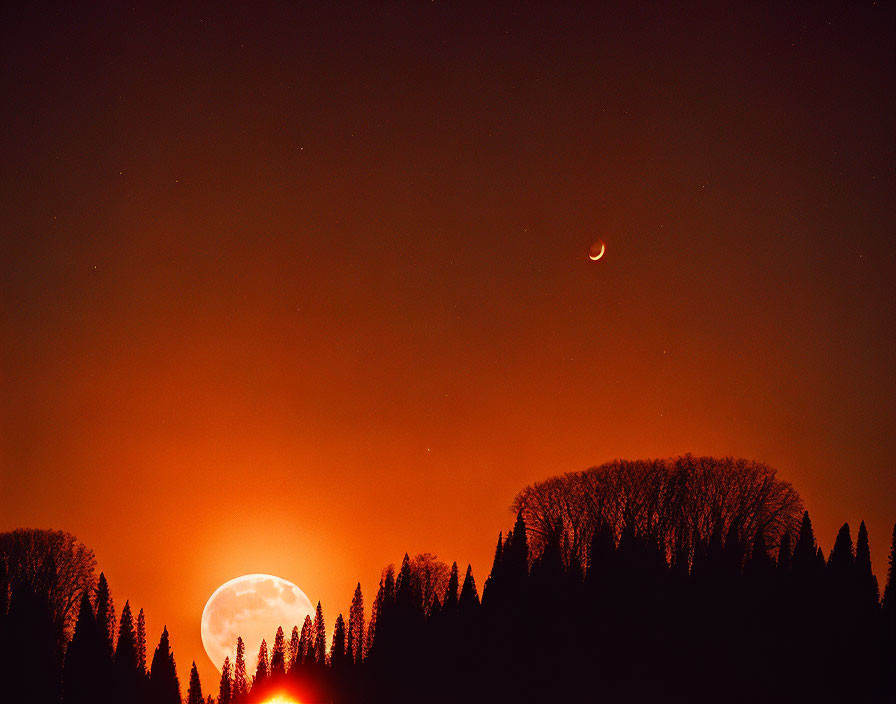 Orange Sky with Full Moon Rising Behind Silhouetted Trees