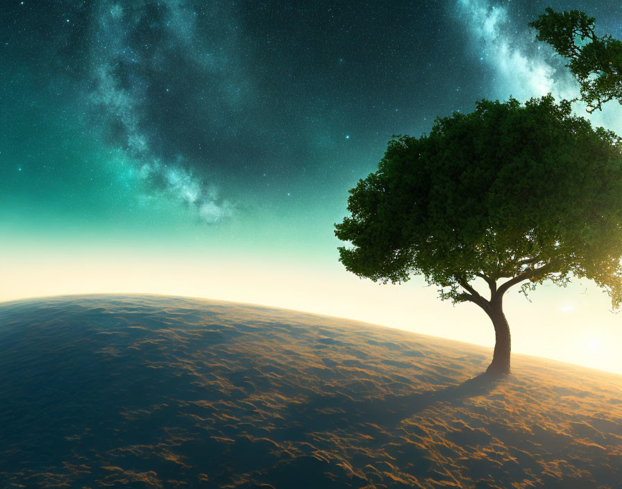 Lone Tree on Curved Horizon Under Dusk to Night Starry Sky