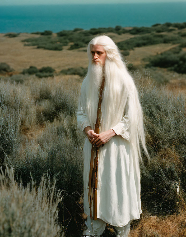 Elderly figure with white hair and robe holding staff in field by sea