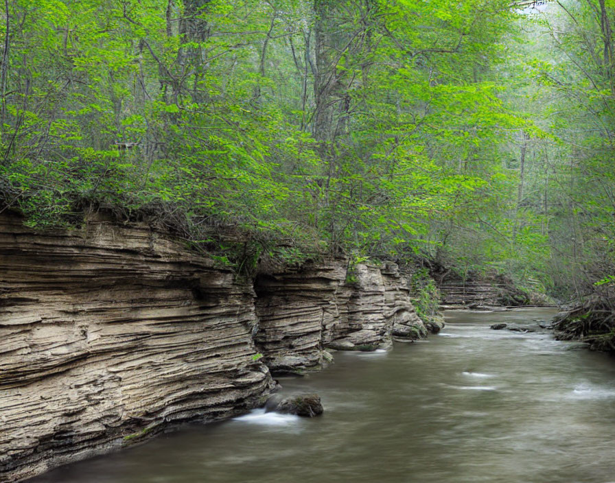 Tranquil forest creek with rock formations & green foliage