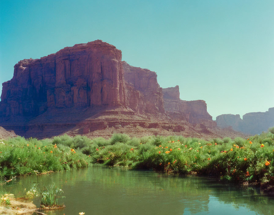 Tranquil River Surrounded by Orange Flowers and Red Sandstone Cliffs