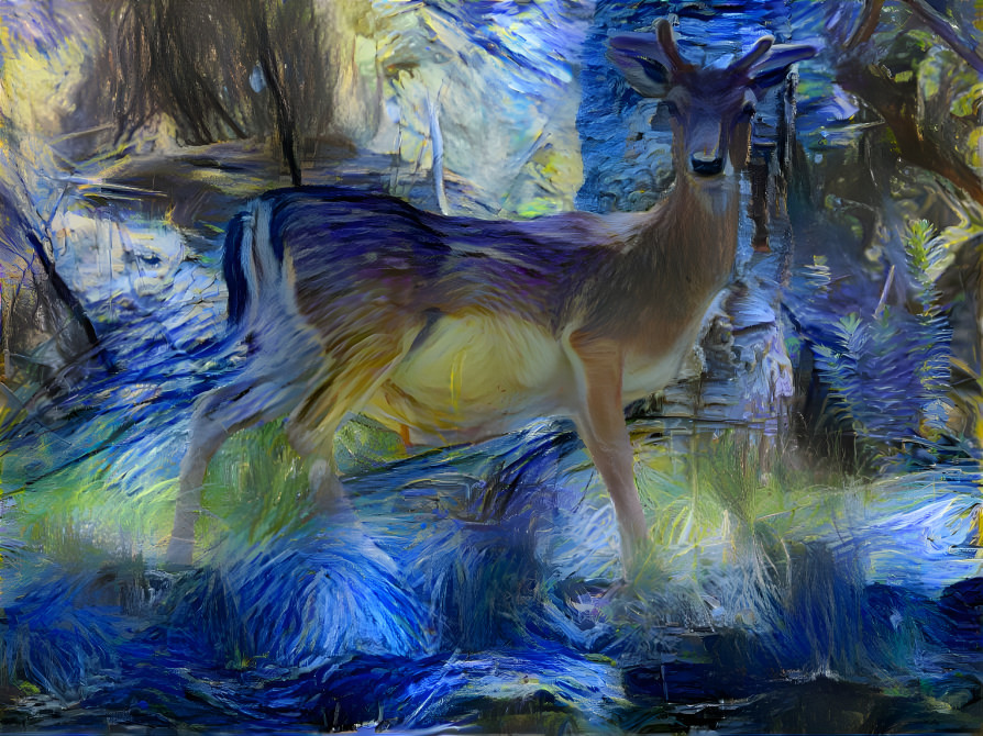 Deer