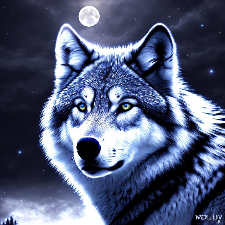 Blue wolf under moonlit starry sky with 'WOLLIJV' watermark