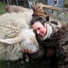 Man napping outdoors with three fluffy sheep