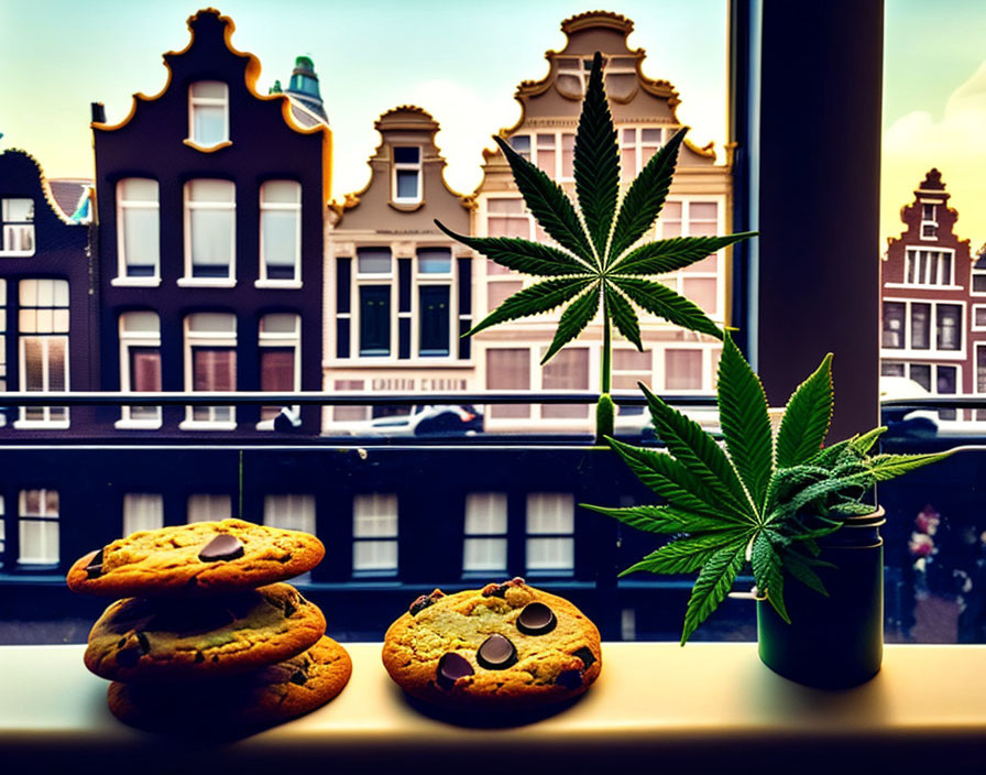 Windowsill View of Dutch Buildings with Cannabis Plant and Cookies