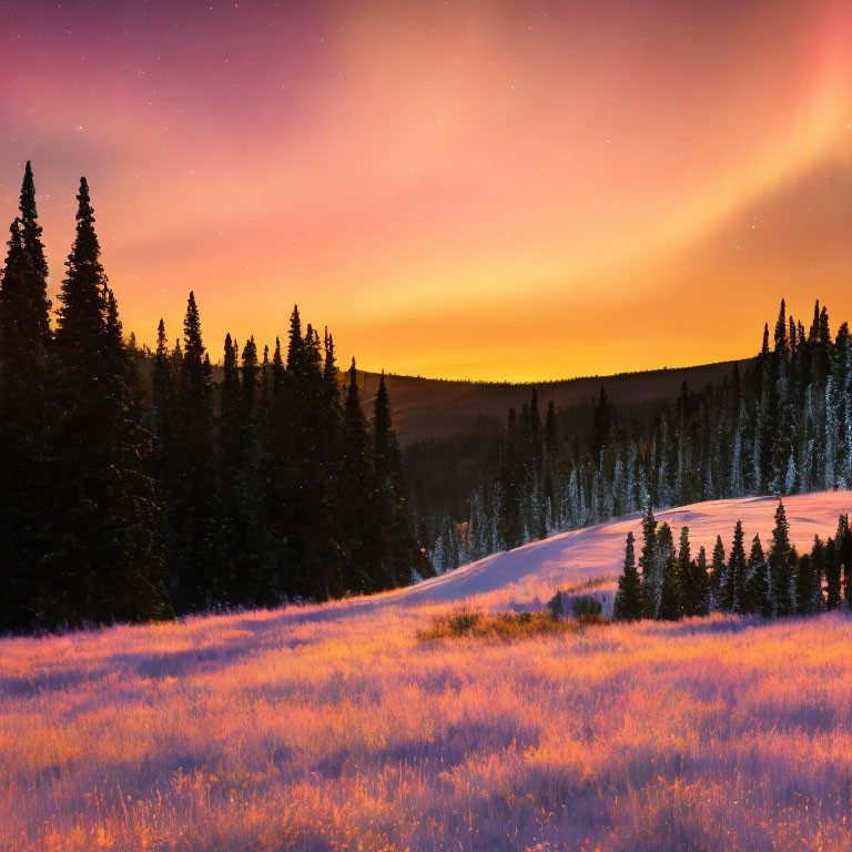 Snowy Landscape with Evergreen Trees under Twilight Sky