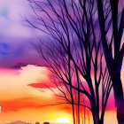 Colorful watercolor sunset painting with silhouetted trees in purple, blue, orange, and