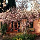 Colorful Watercolor: Flowering Garden Pathway with Pink Blooms and Cactus