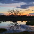 Tranquil watercolor sunset with boat, trees, house, and reflections