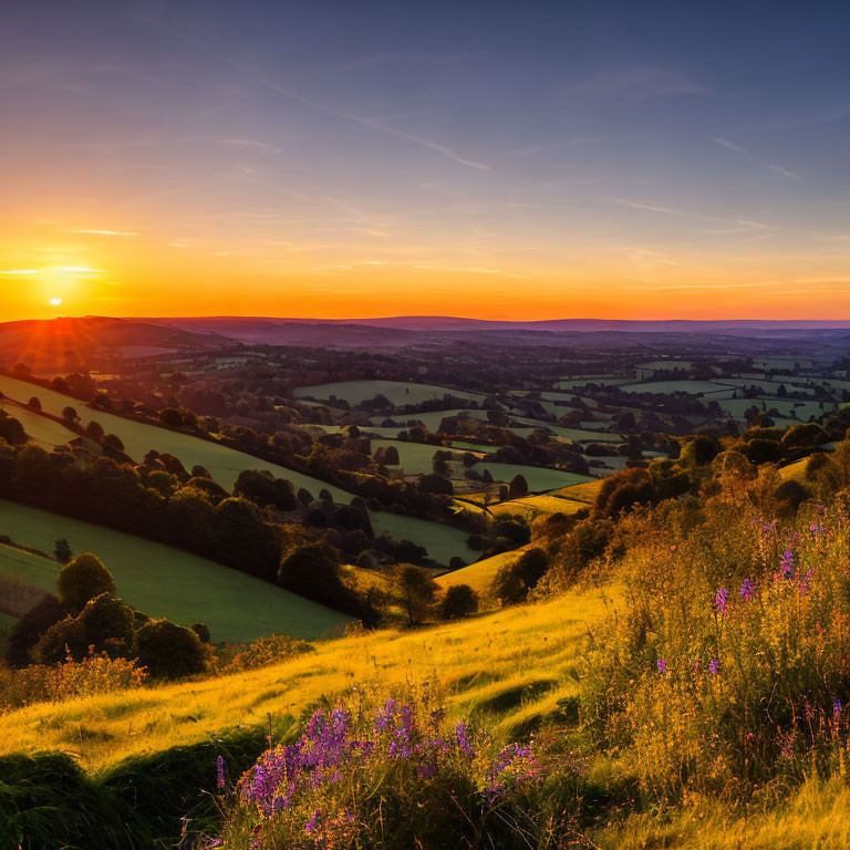 Vibrant sunset over rolling landscape with trees and wildflowers