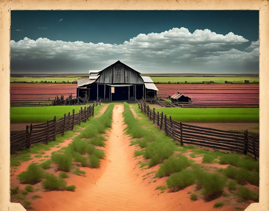 Weathered wooden barn at end of dirt road in green and red fields