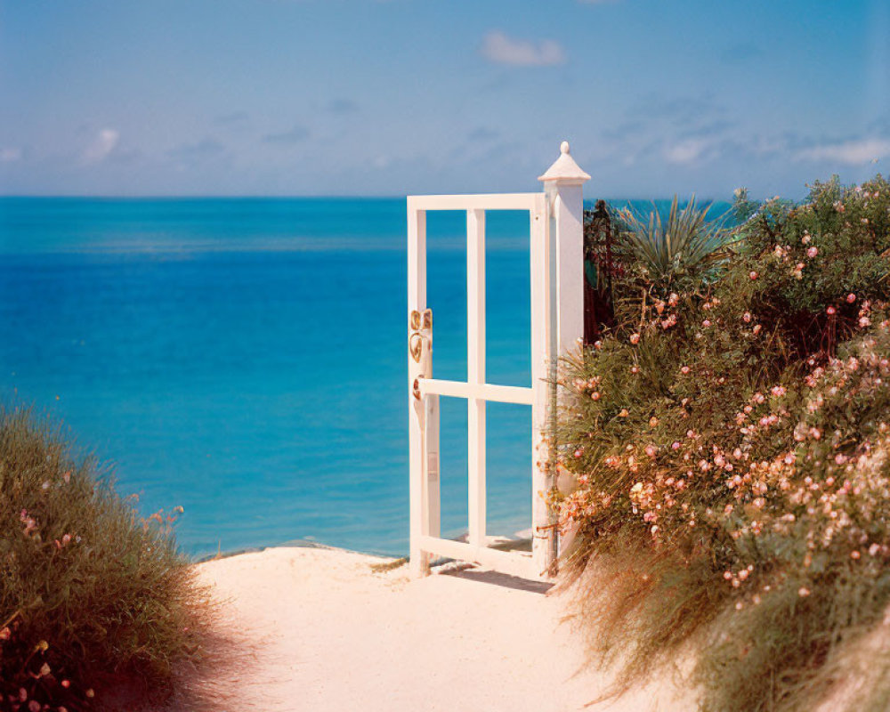 White Door on Sandy Path Leading to Serene Blue Sea and Clear Sky