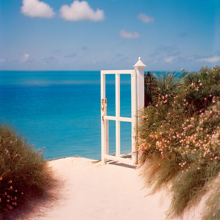 White Door on Sandy Path Leading to Serene Blue Sea and Clear Sky