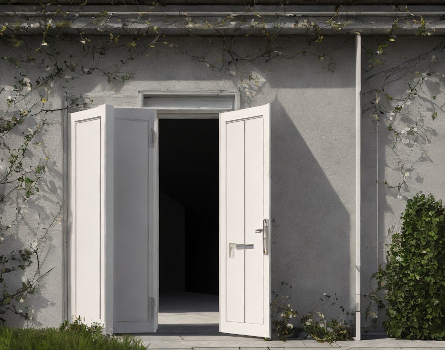 White door and ivy-covered wall in sunlight.