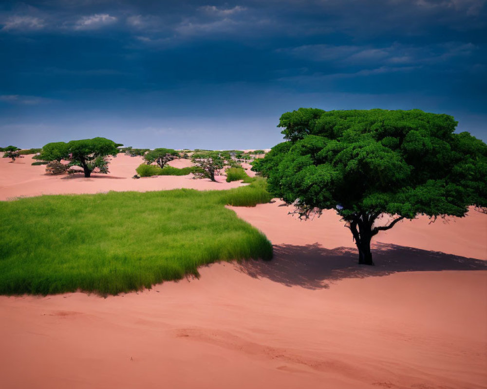 Vibrant blue sky contrasts with lush green trees and reddish desert sands