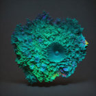 Colorful 3D-rendered coral shape with blue-green hues on dark backdrop