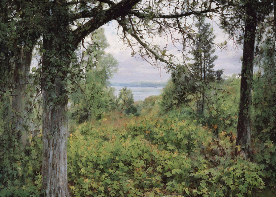 Lush Greenery and Archway Trees in Tranquil Forest Setting