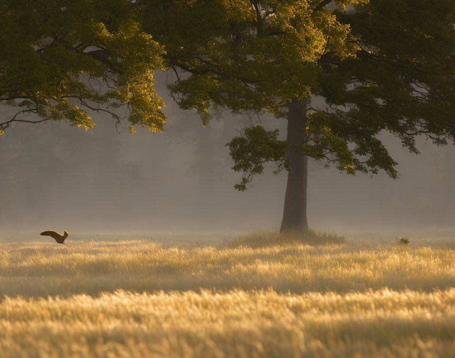 Majestic tree casting sunlight on golden field with lone bird in flight