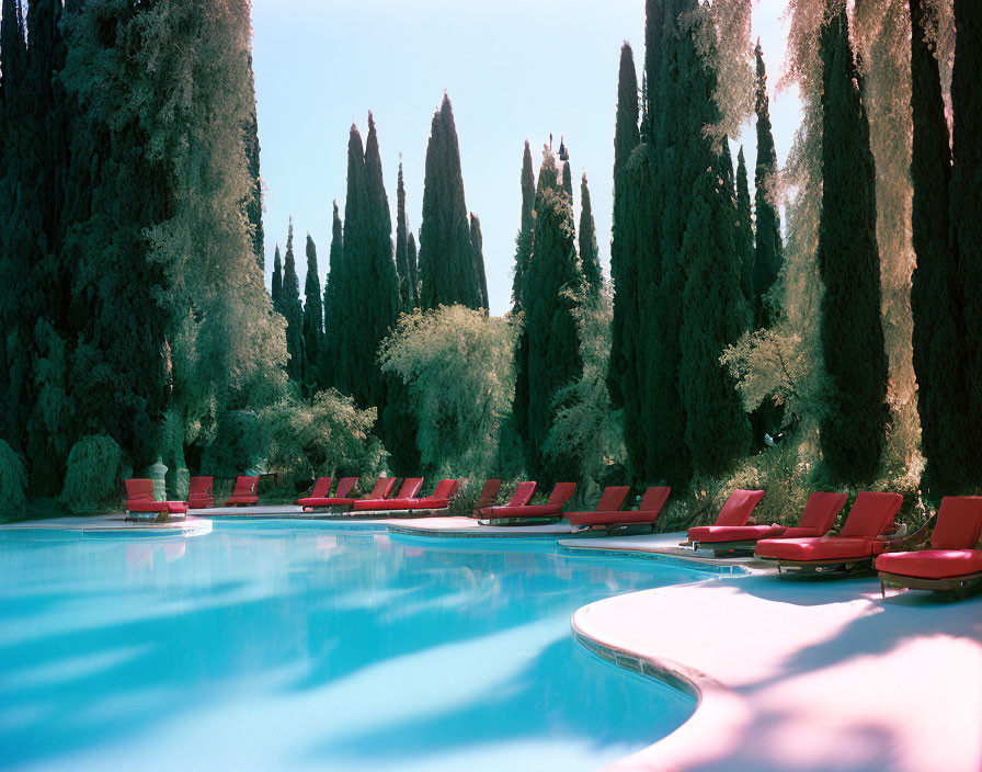 Tranquil outdoor pool with cypress trees and red lounge chairs