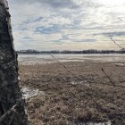 Monochrome landscape with tall grass field and cloudy sky