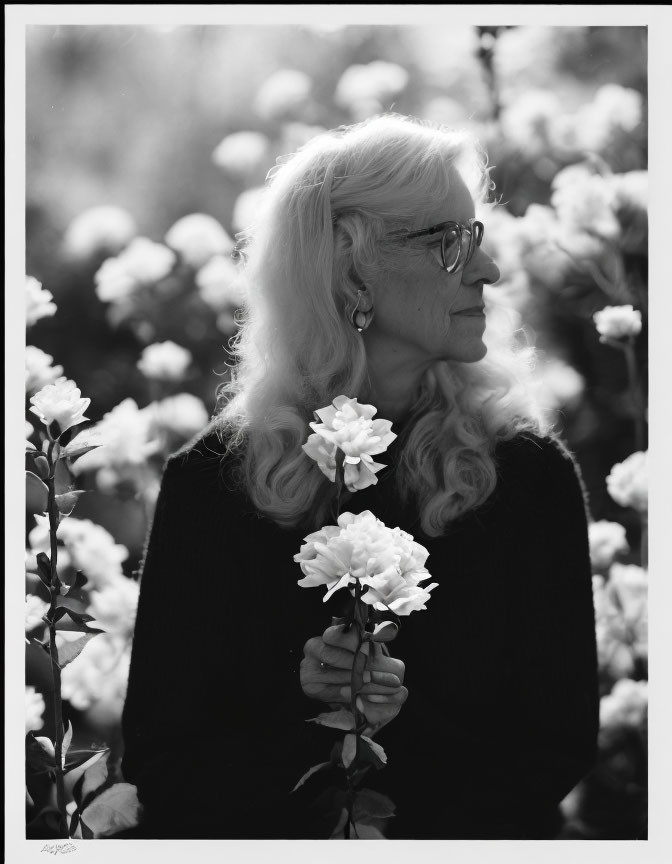 Elderly lady with white hair and glasses surrounded by blooming roses.