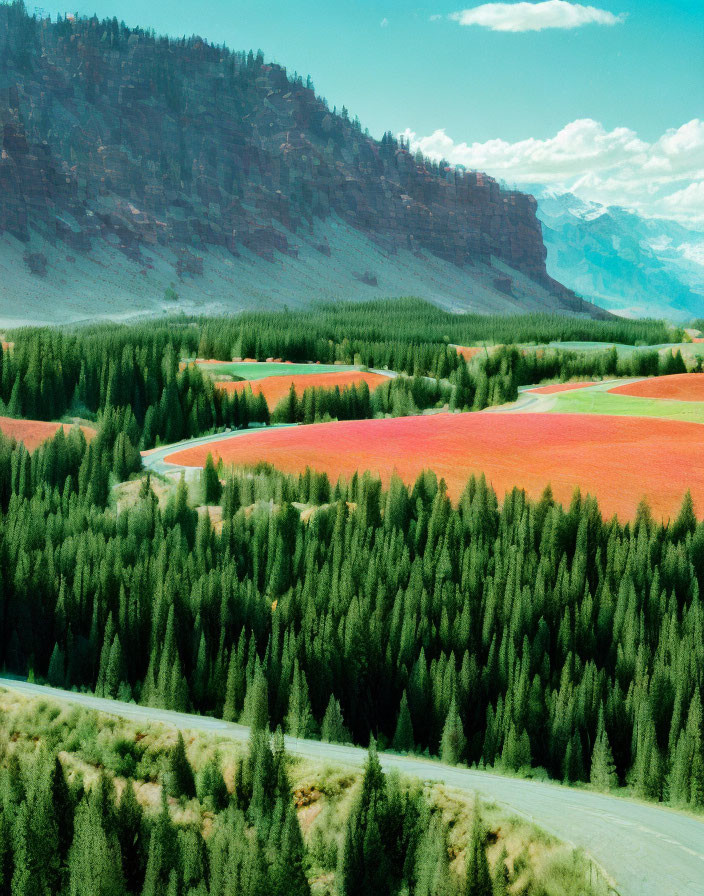 Scenic landscape with red wildflowers, green forests, mountain backdrop, and winding road