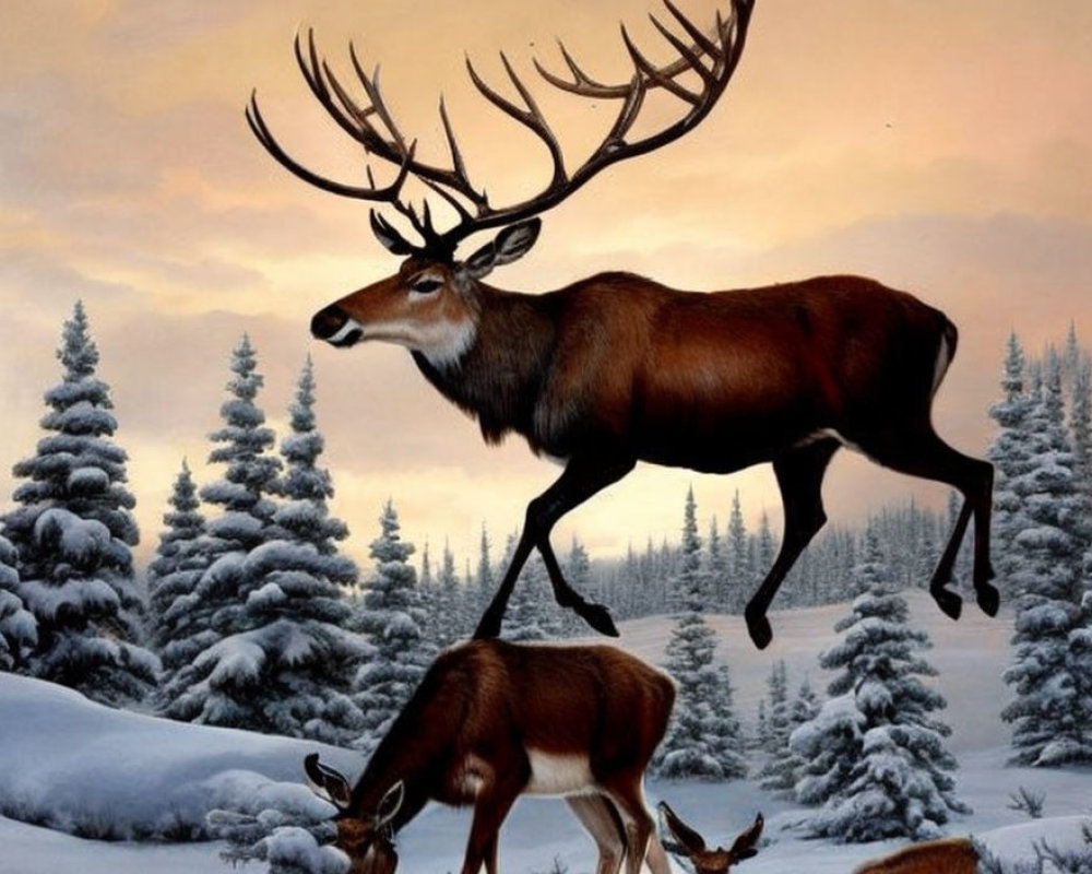 Majestic stag with large antlers in snowy landscape with deer grazing