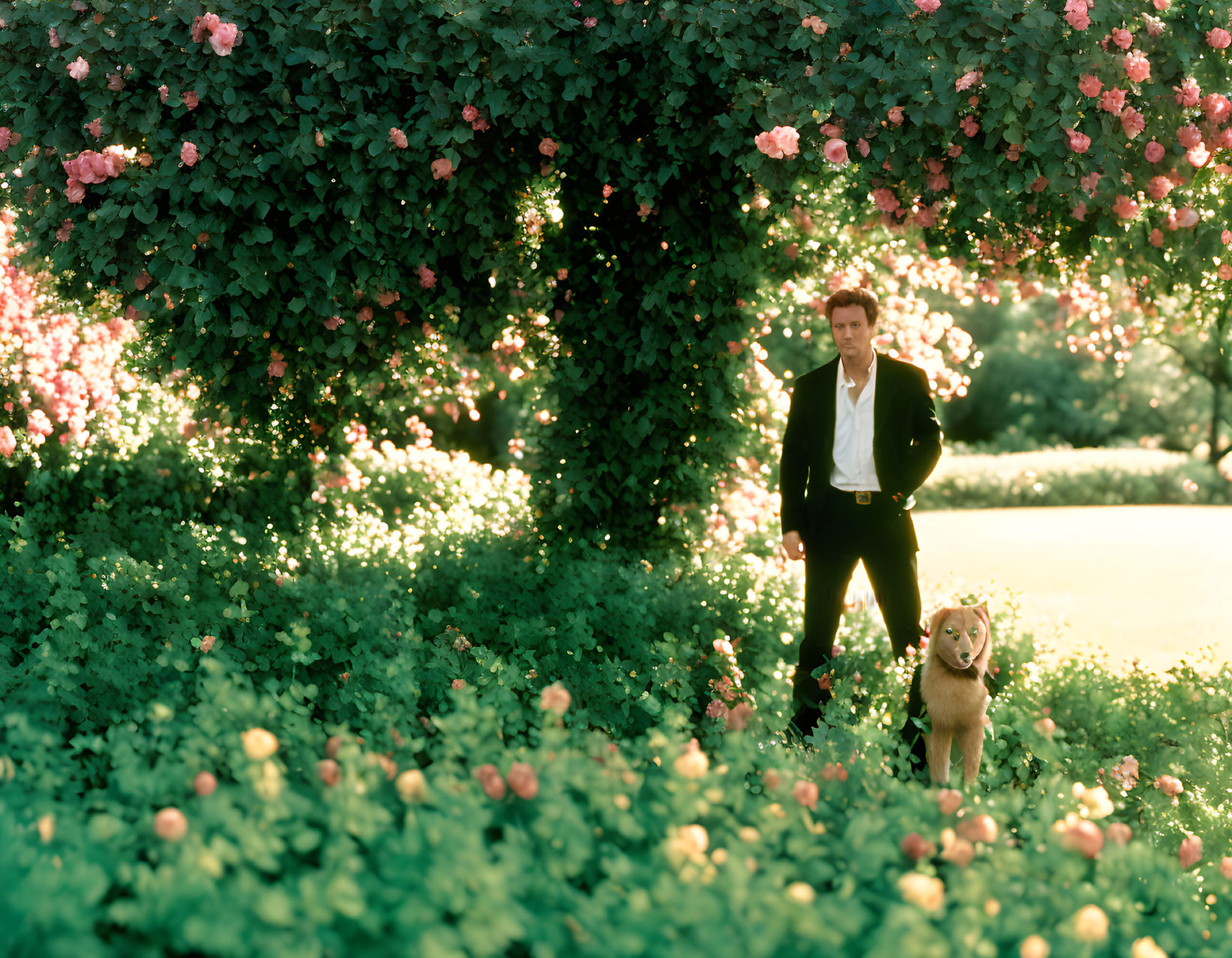 Man in Black Suit with Golden Retriever in Lush Garden