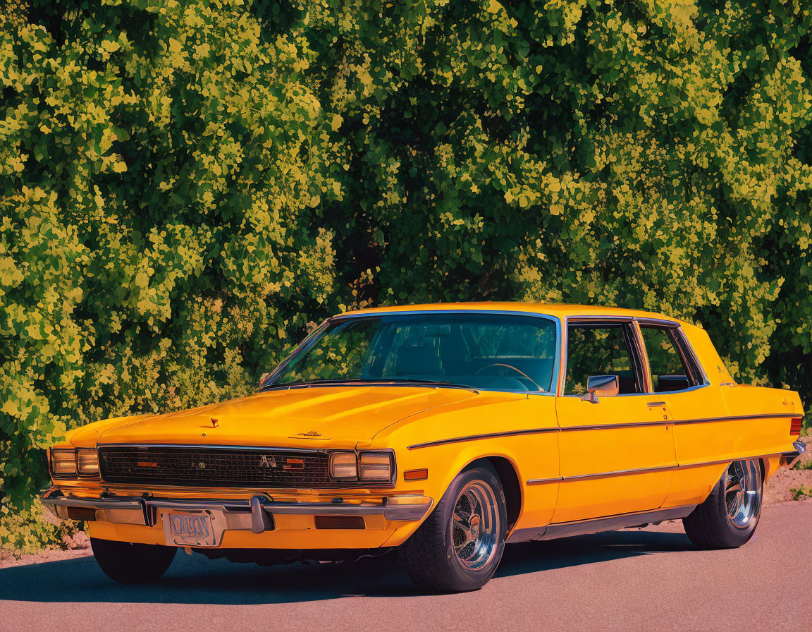 Bright yellow sedan parked next to green bush under clear skies