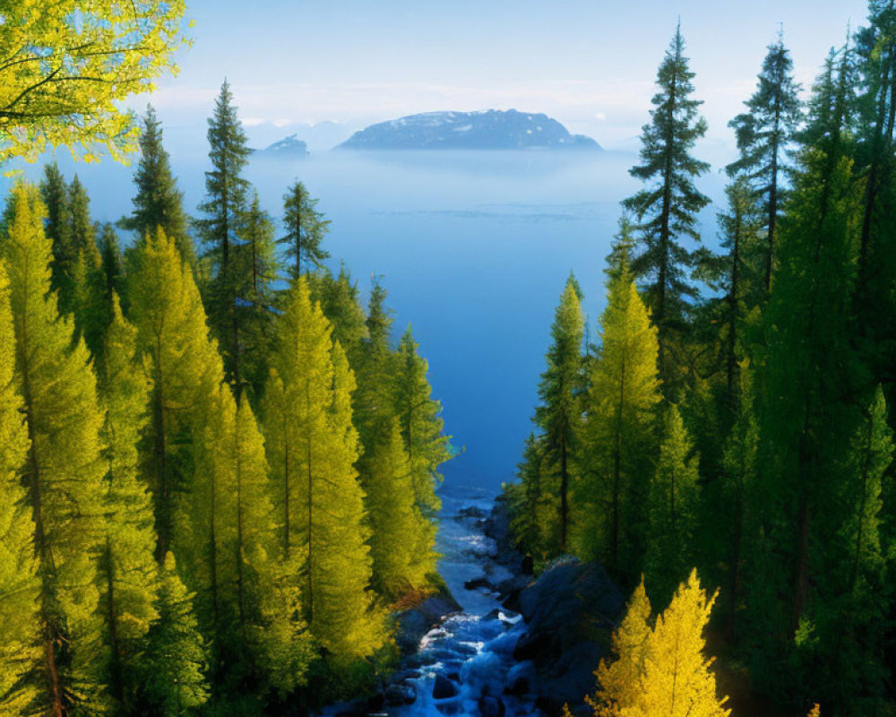 Scenic green forest with stream, lake, and mountains