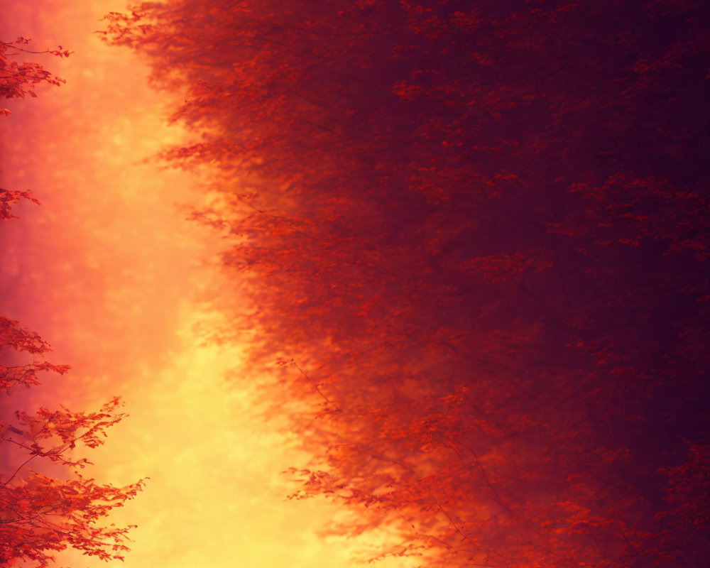 Silhouetted figures in fiery red forest with radiant sun.