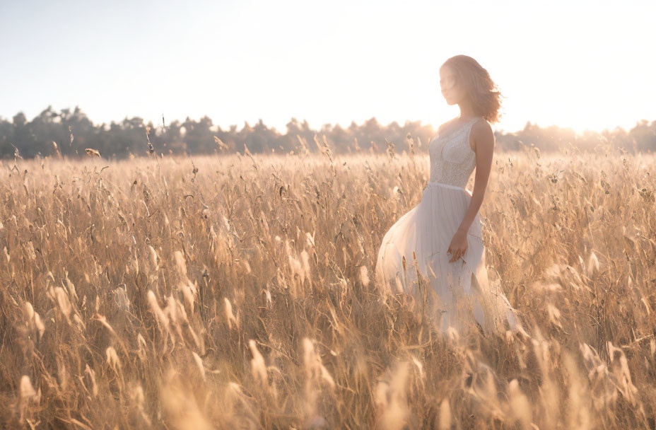 Woman in White Dress Standing in Sunlit Field of Tall Grass