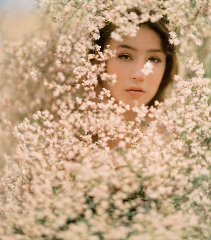 Delicate pinkish-white blossoms frame a woman's contemplative face