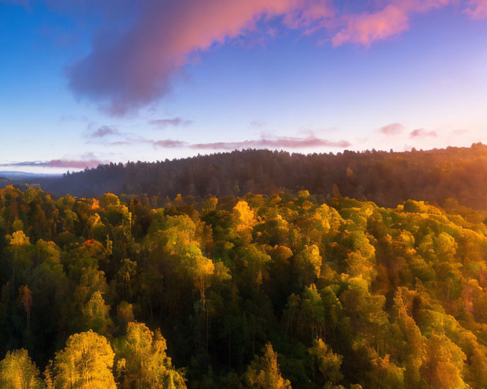 Vibrant autumn forest at sunrise with blue sky and pink clouds