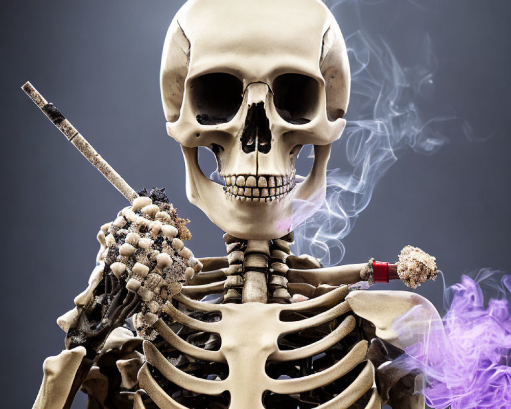 Model skeleton with smoking incense stick in purple smoke on grey background