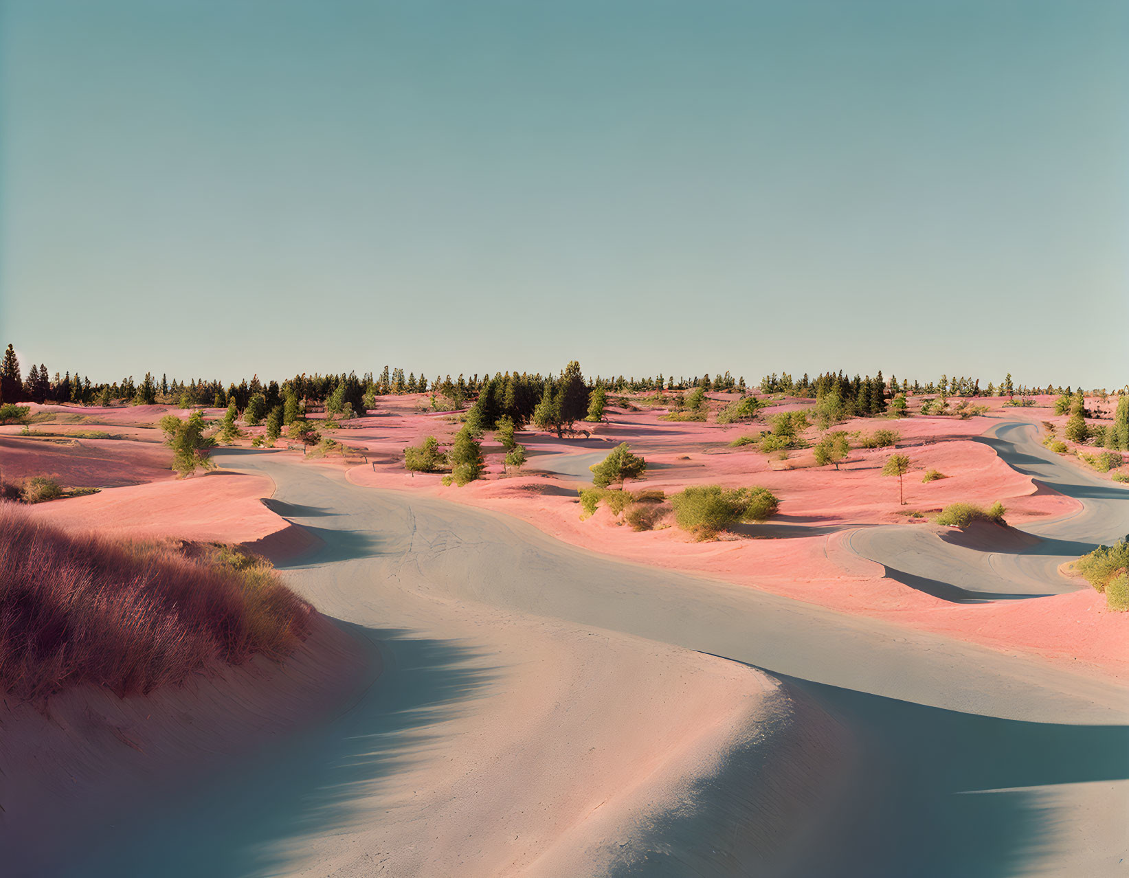 Desert Landscape with Pink Sands and Blue-grey Paths