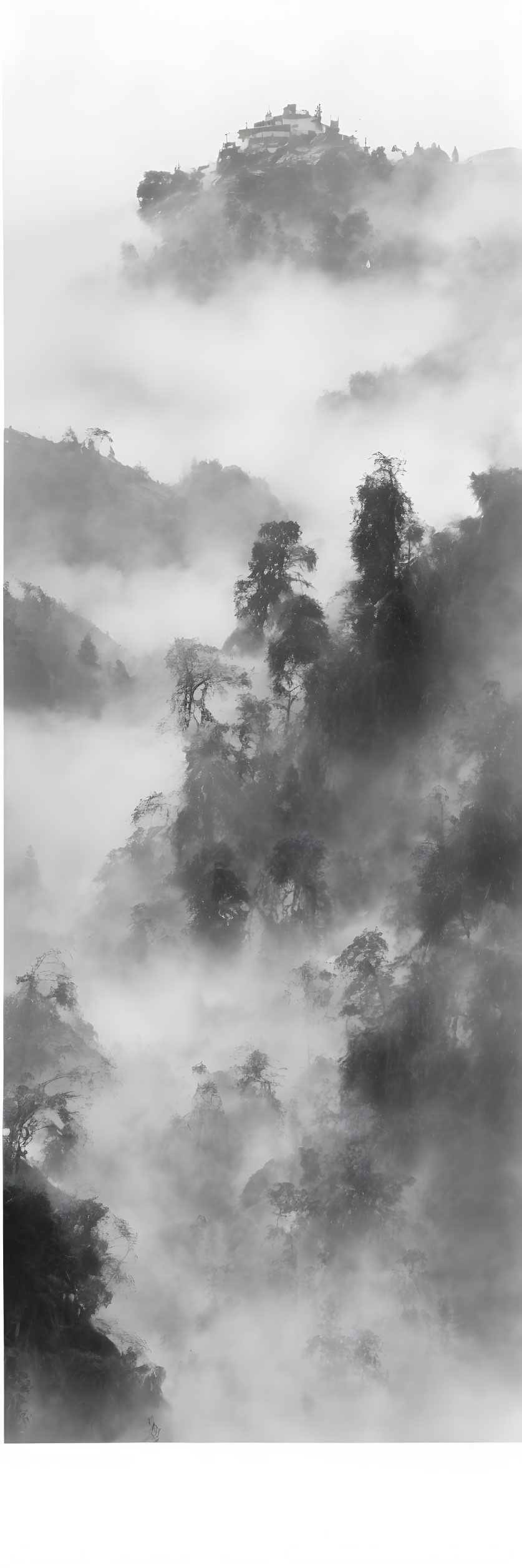 Misty forest with fog-covered trees and distant temple