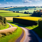 Scenic winding road amidst vibrant hills and green trees